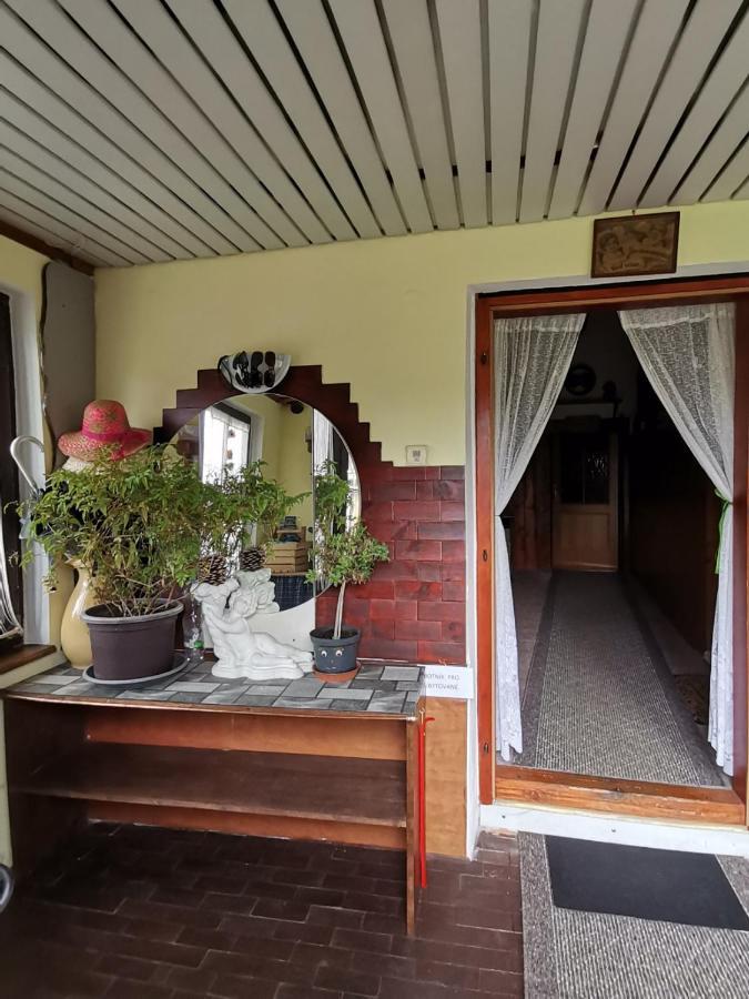 Apartman Ve Mlejne Nová Bystřice Εξωτερικό φωτογραφία