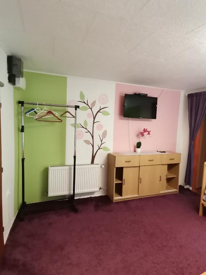 Apartman Ve Mlejne Nová Bystřice Εξωτερικό φωτογραφία