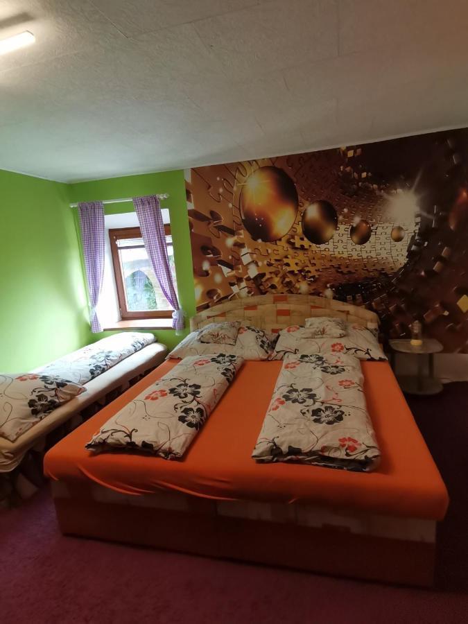 Apartman Ve Mlejne Nová Bystřice Εξωτερικό φωτογραφία