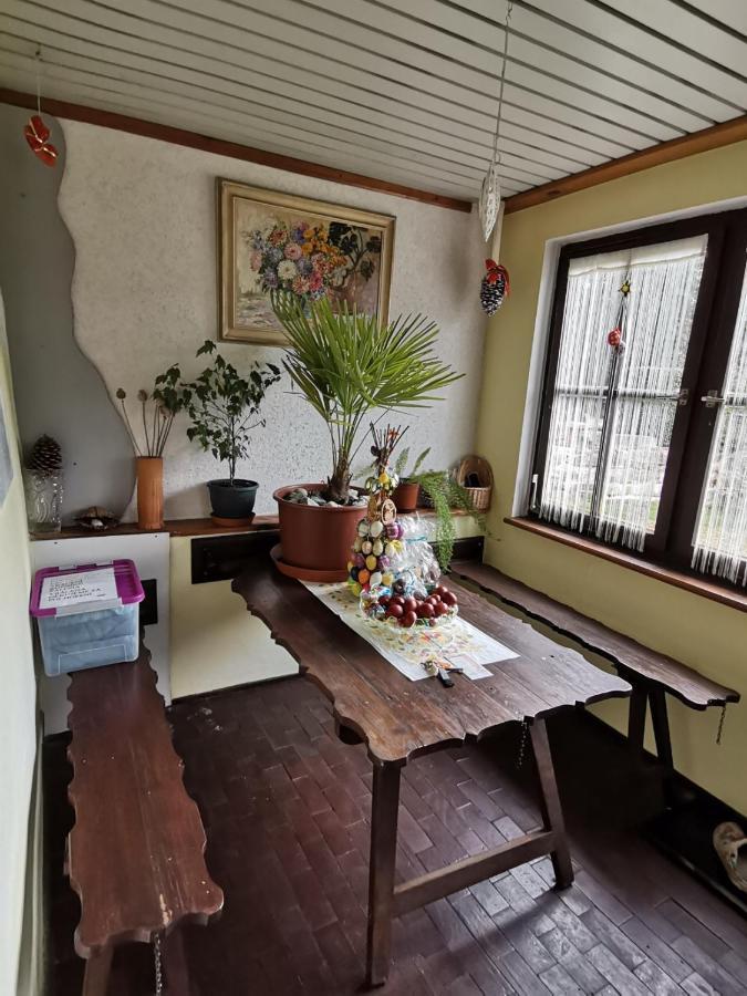 Apartman Ve Mlejne Nová Bystřice Εξωτερικό φωτογραφία